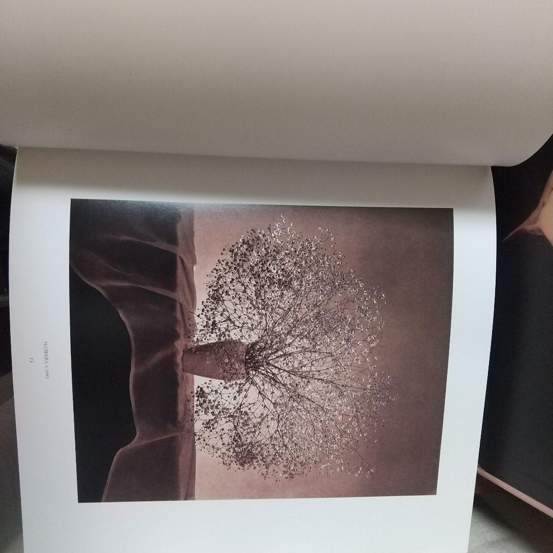 Robert Mapplethorpe Pistils写真集花特集