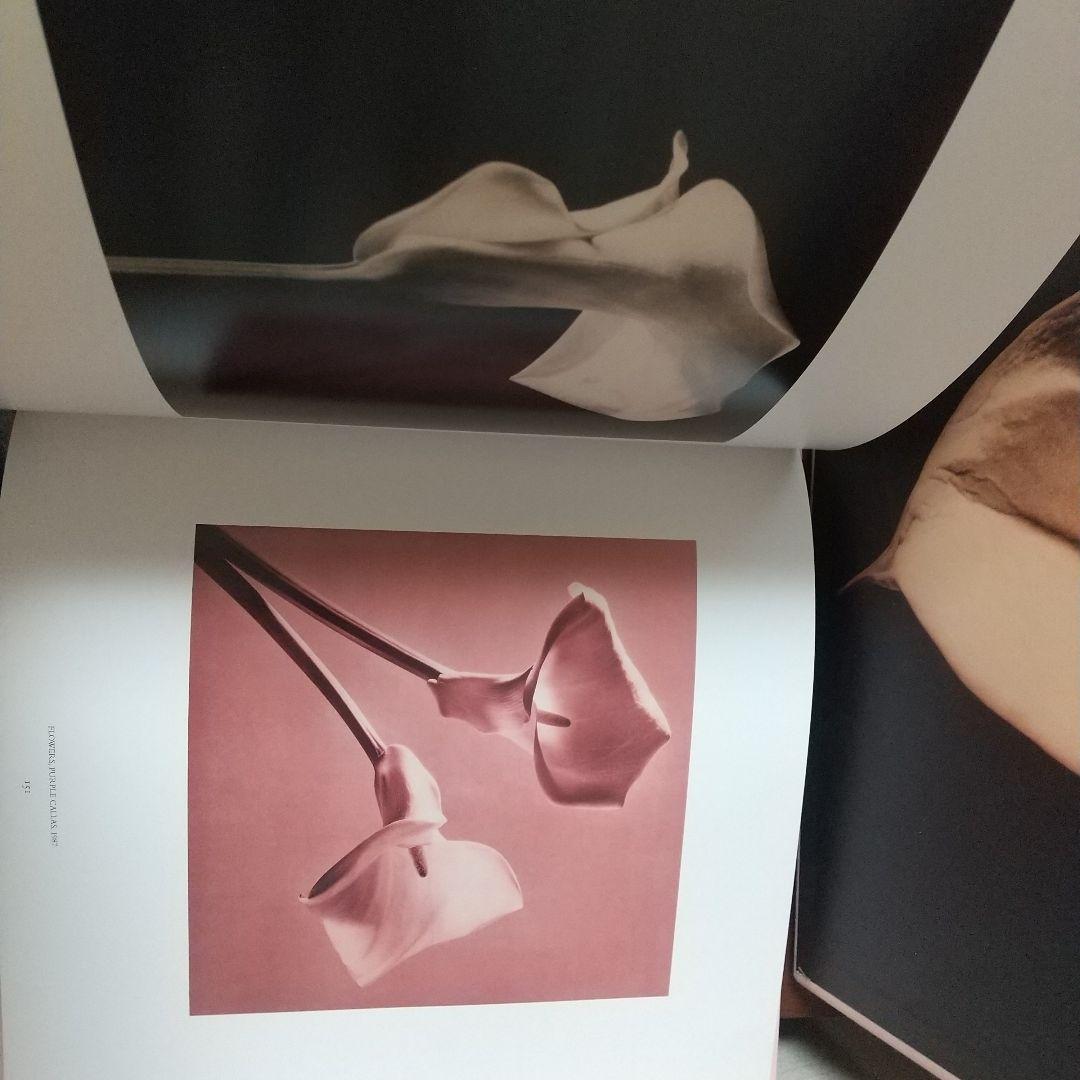 Robert Mapplethorpe Pistils写真集花特集