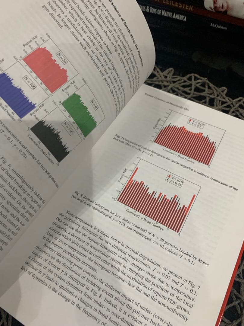 Fracture Mechanics and Statistical 洋書　レア