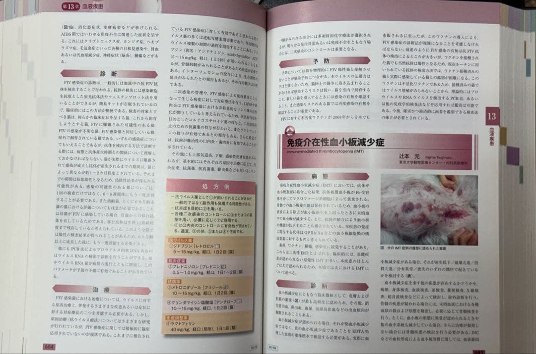 犬と猫の治療ガイド 2015 私はこうしている (¥40,000.-)