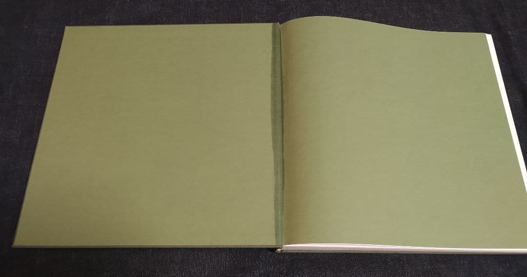 RIO Robert Polidori Marc Ferrez 建築 ブラジル