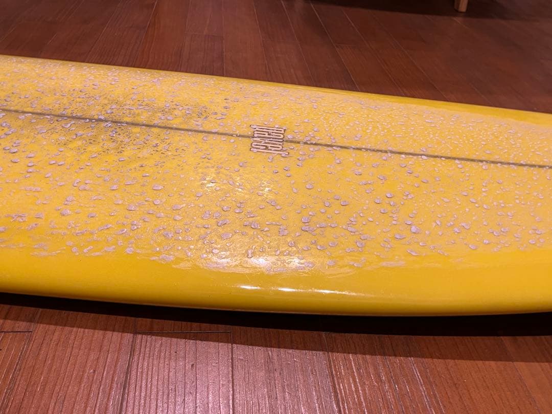 Pavel MONO サーフボード 6’10 【手渡し限定】ハル リッチパベル