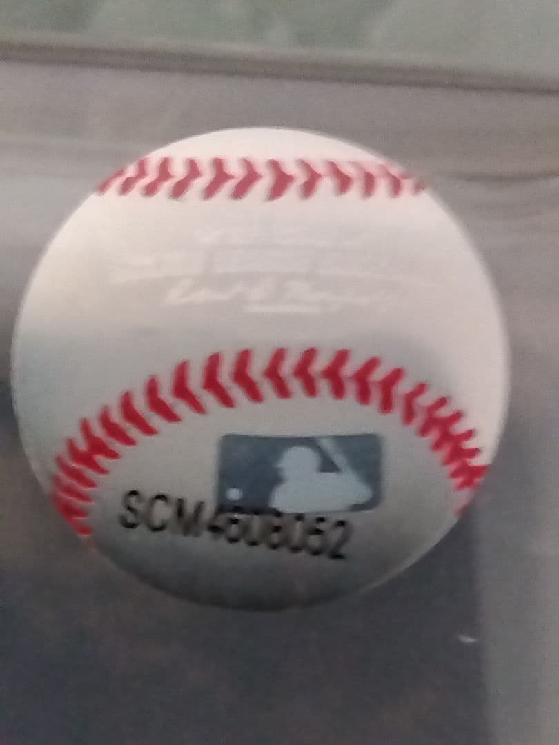 大谷翔平 メモリアルコレクション2024年50/50記念限定品(MLB公認)