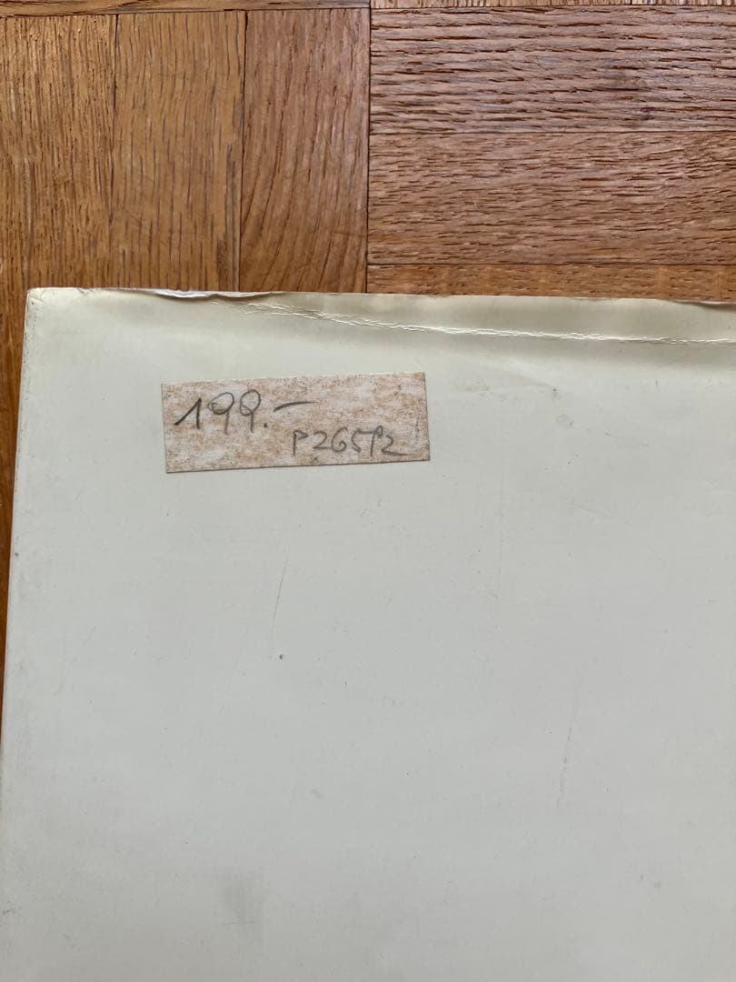 Egon Schiele GIANFRANCO MALAFARINA 画集