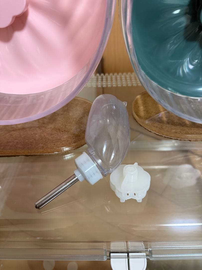 GEX グラスハーモニー600 BUCATSTATEセット