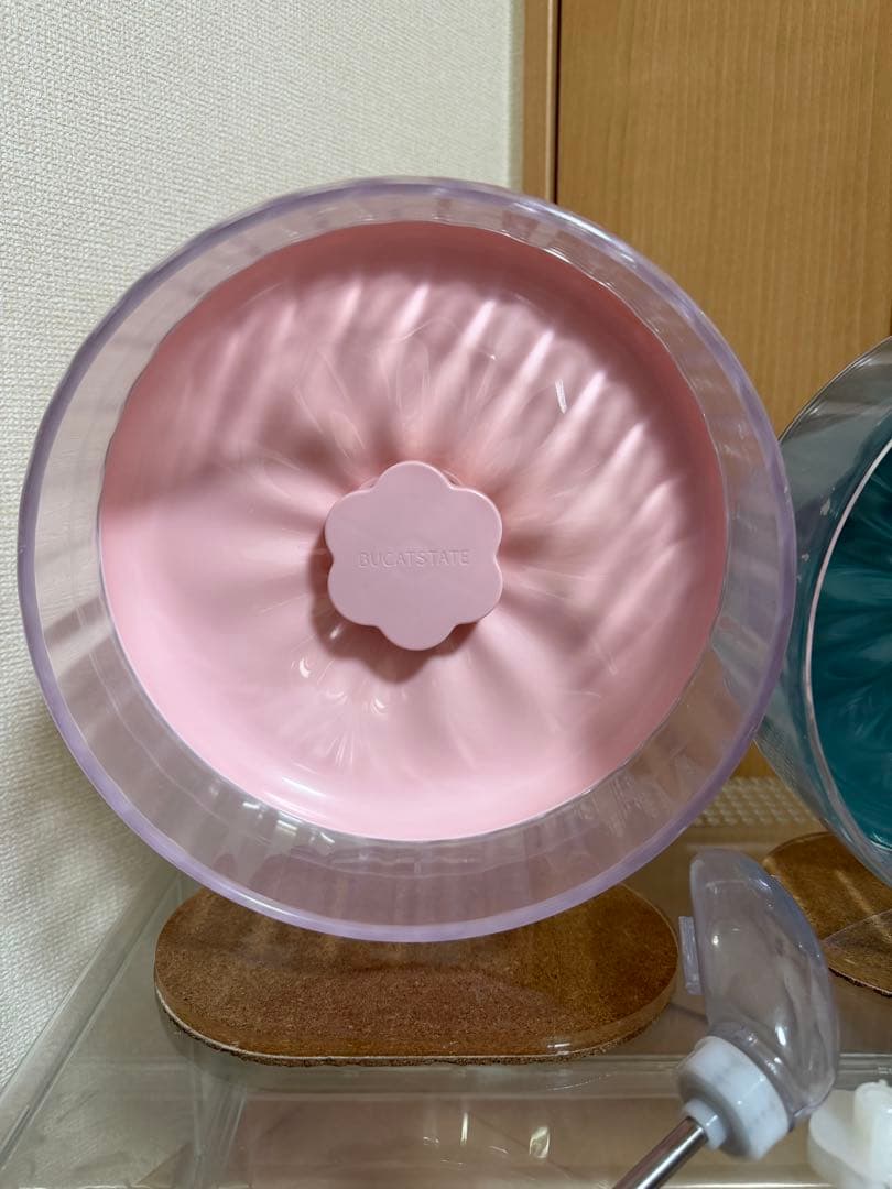 GEX グラスハーモニー600 BUCATSTATEセット