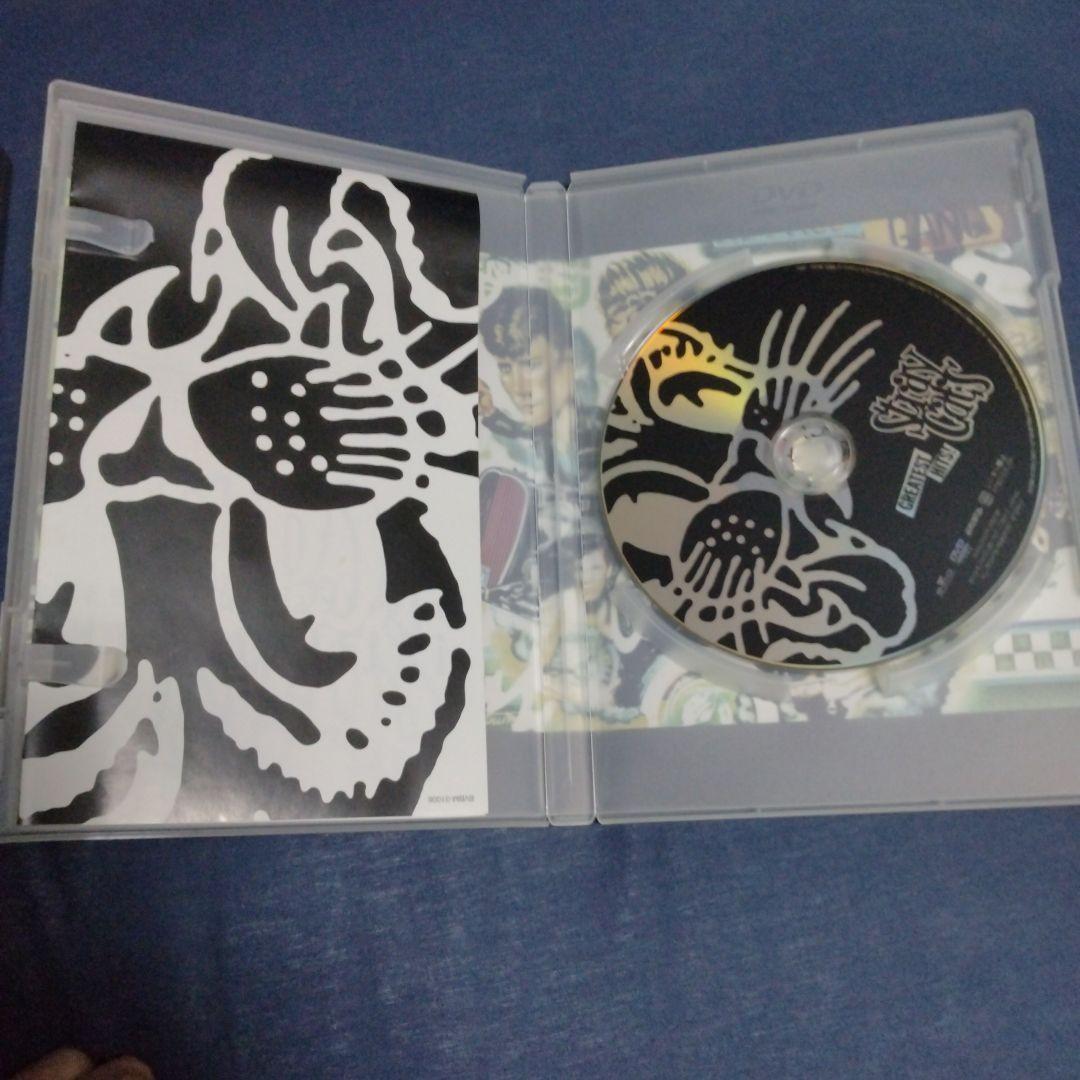 ストレイキャッツ　DVD