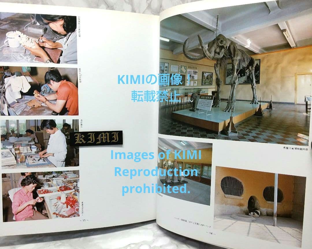 満洲の旅 1982 ハルピン 1982 単行本 北小路健,渡部まなぶ