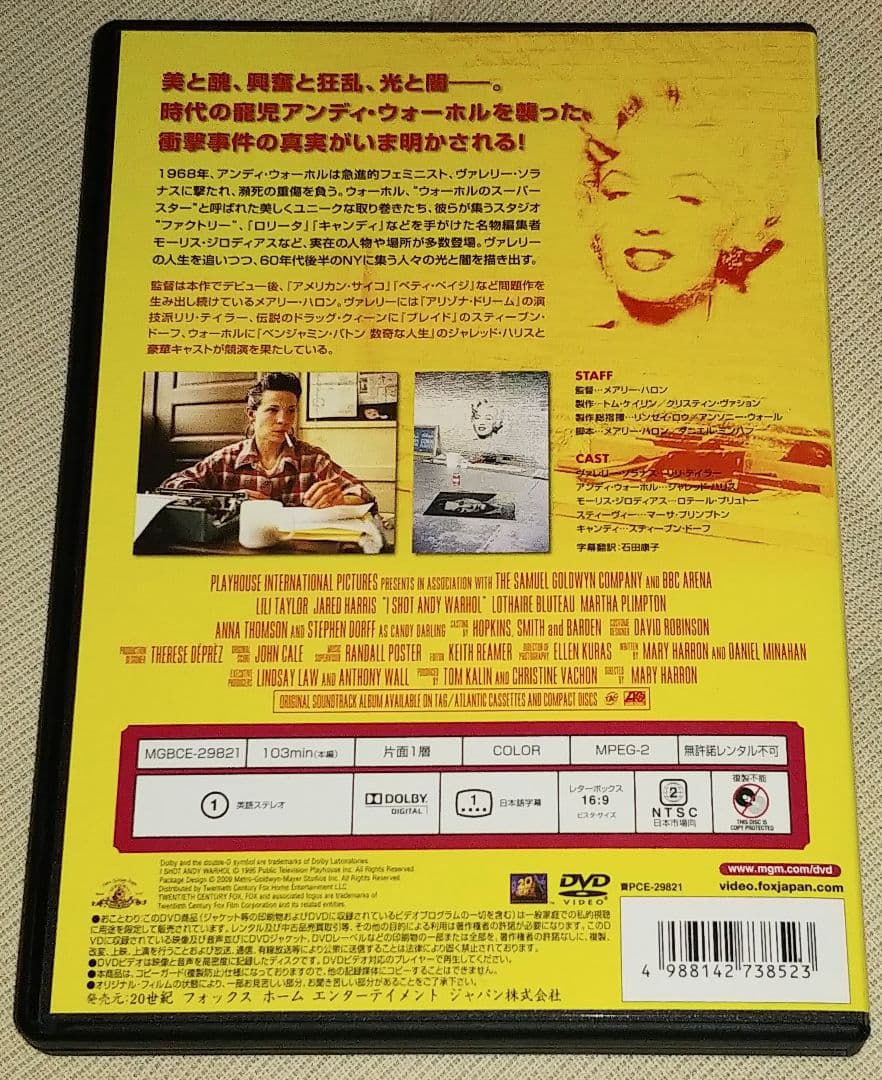 アンディ・ウォーホルを撃った女 DVD 廃盤 秀作！カルト映画