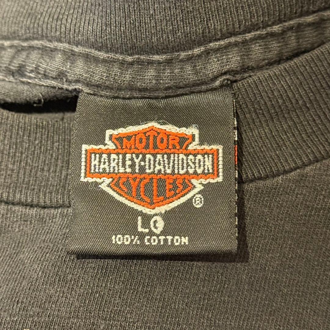 希少 90s USA製 ハーレーブルーファイアーフレイムパターン