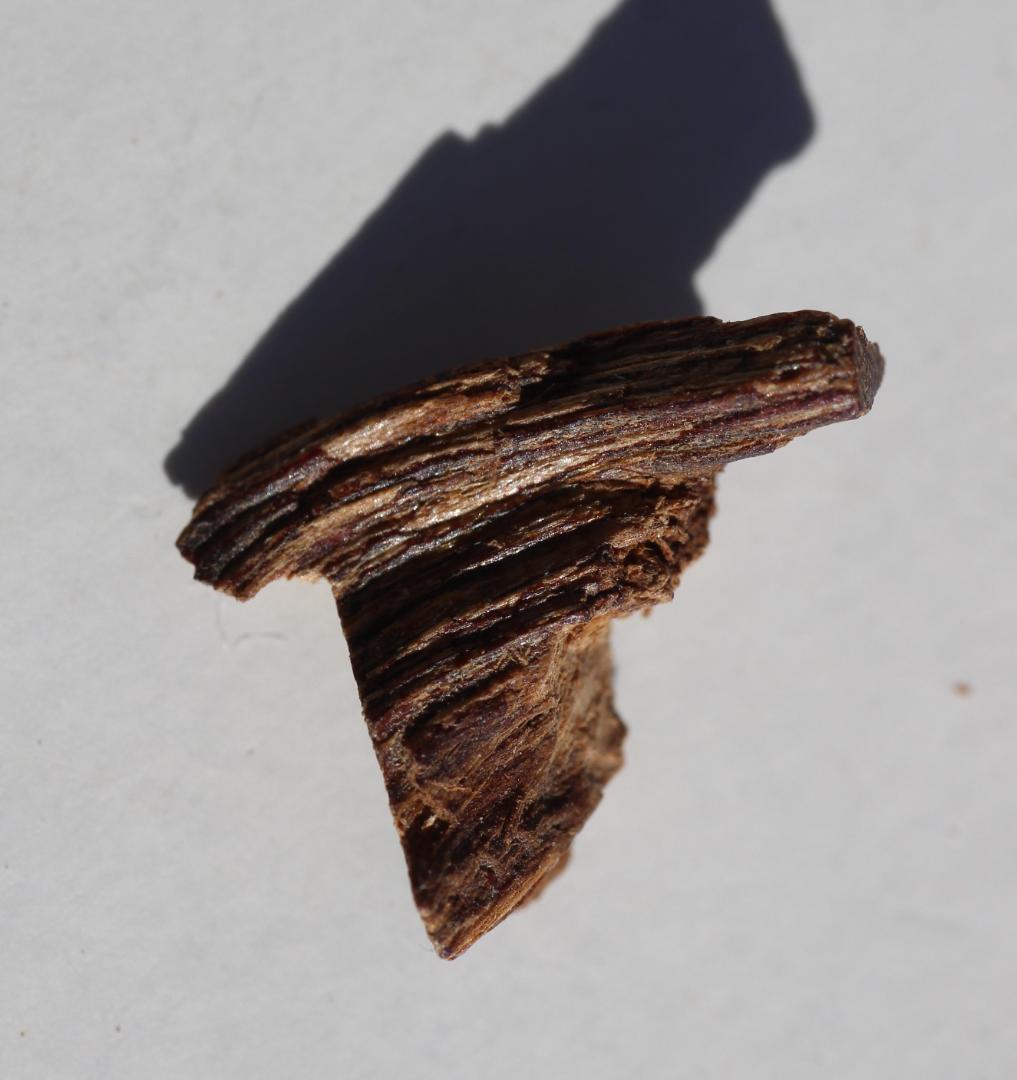 香木 古渡命銘木 「初音」約0.3g 小分け沈香 伽羅 奇南 奇楠 お香 香道