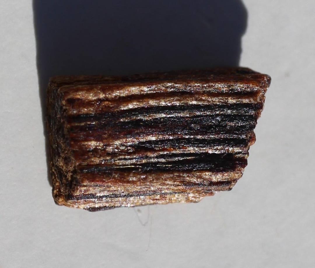 香木 古渡命銘木 「初音」約0.3g 小分け沈香 伽羅 奇南 奇楠 お香 香道