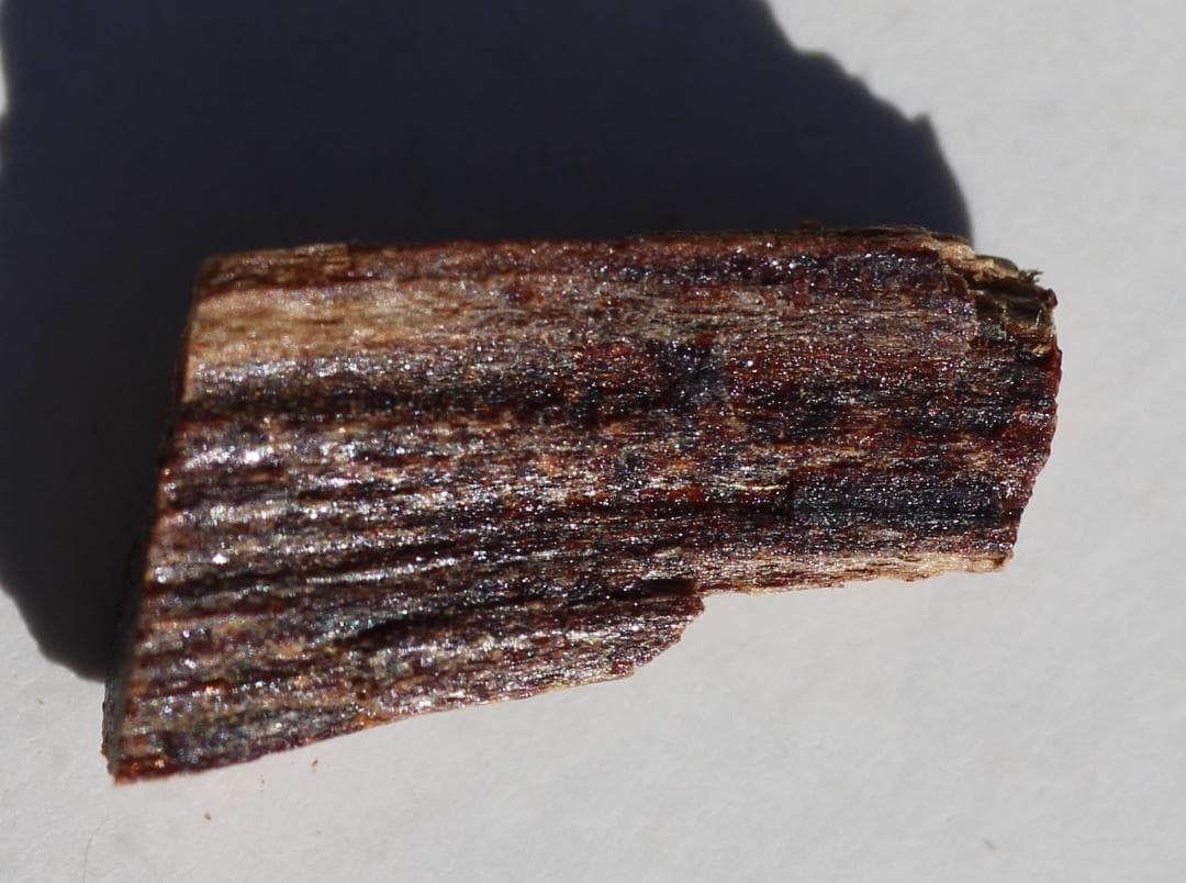 香木 古渡命銘木 「初音」約0.3g 小分け沈香 伽羅 奇南 奇楠 お香 香道