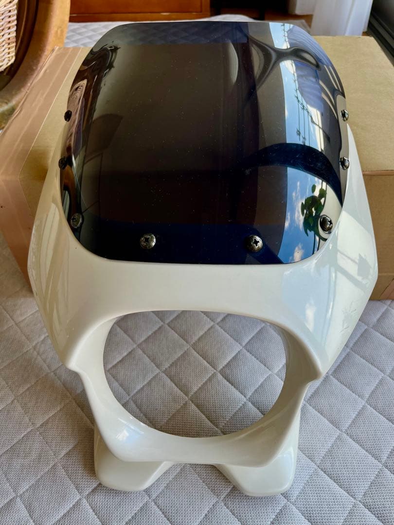 ビキニカウル CB1100/SC65