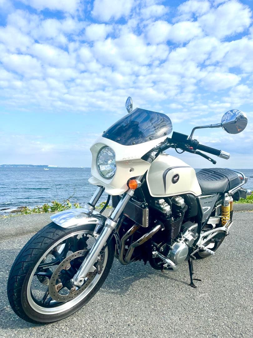 ビキニカウル CB1100/SC65