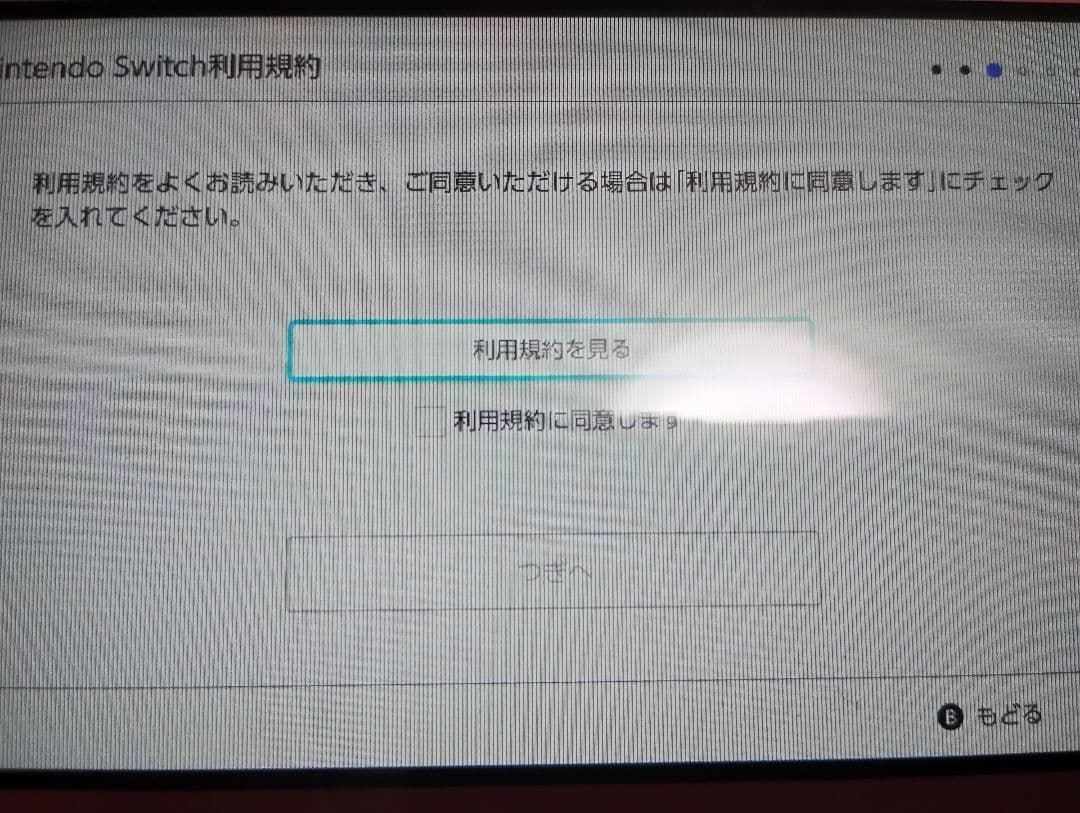 ■ジャンク■Nintendo■Switch LITE■本体■縦縞