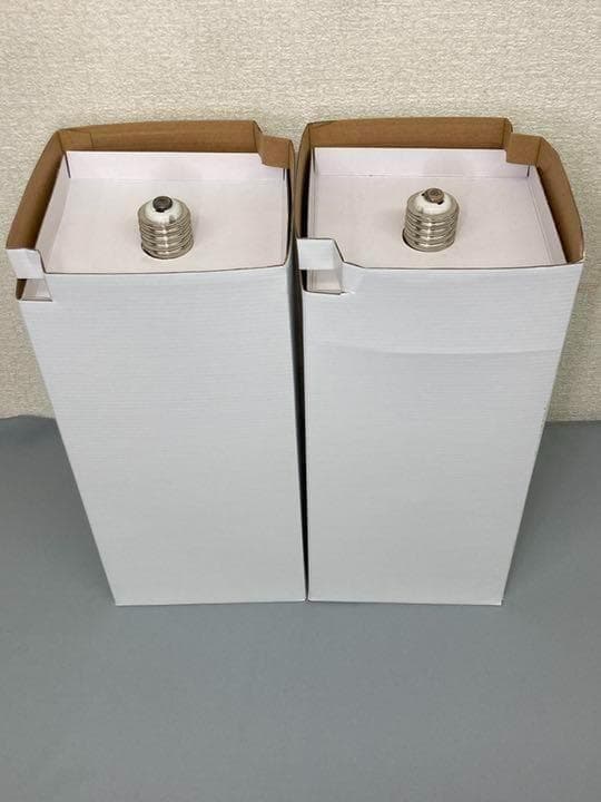 電球 水銀 灯 ランプ HF1000X 2個セット