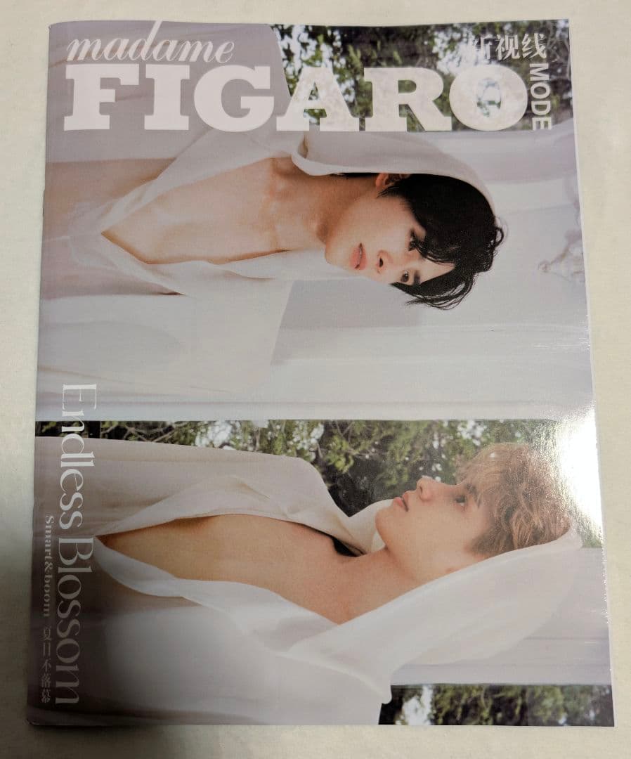 3冊セット【FIGARO（表紙SmartBoom）】TopForm / だかいち