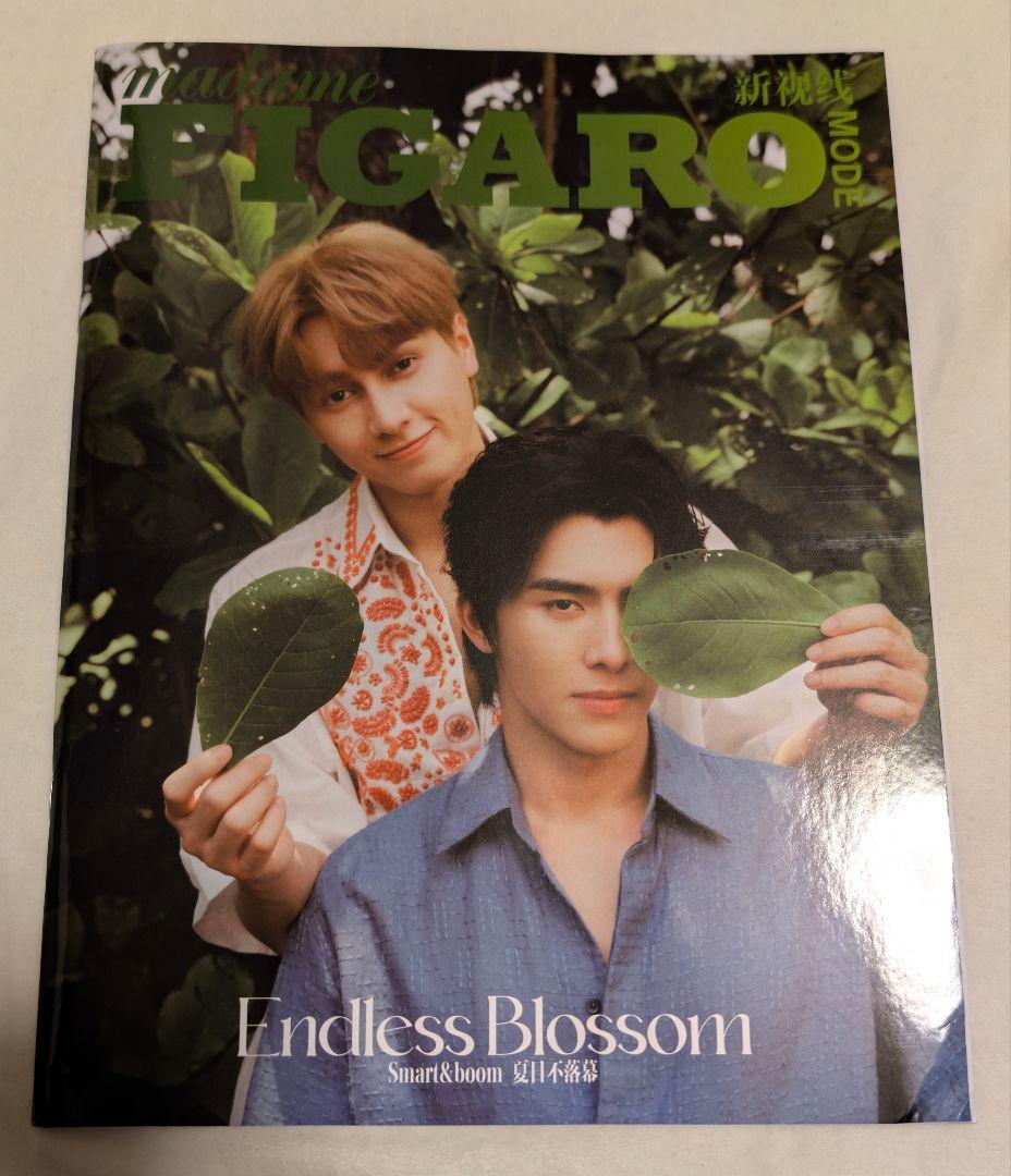 3冊セット【FIGARO（表紙SmartBoom）】TopForm / だかいち