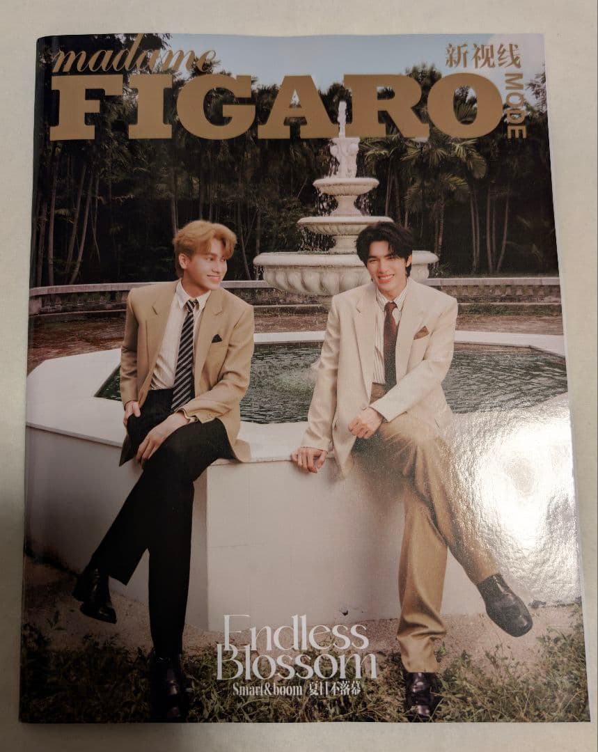 3冊セット【FIGARO（表紙SmartBoom）】TopForm / だかいち