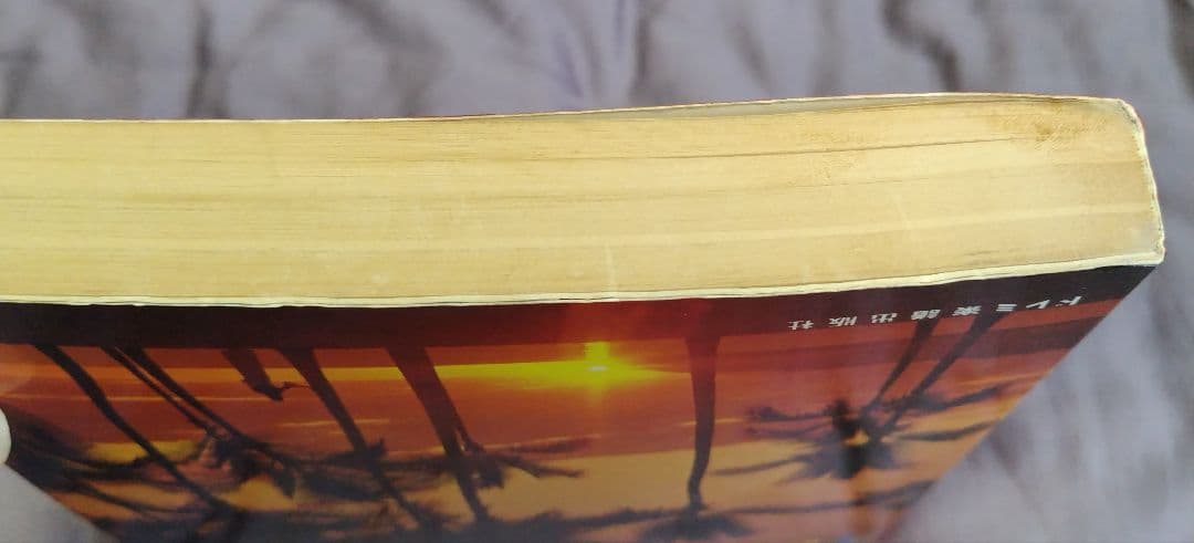 【希少】 高中正義 ギター全曲集