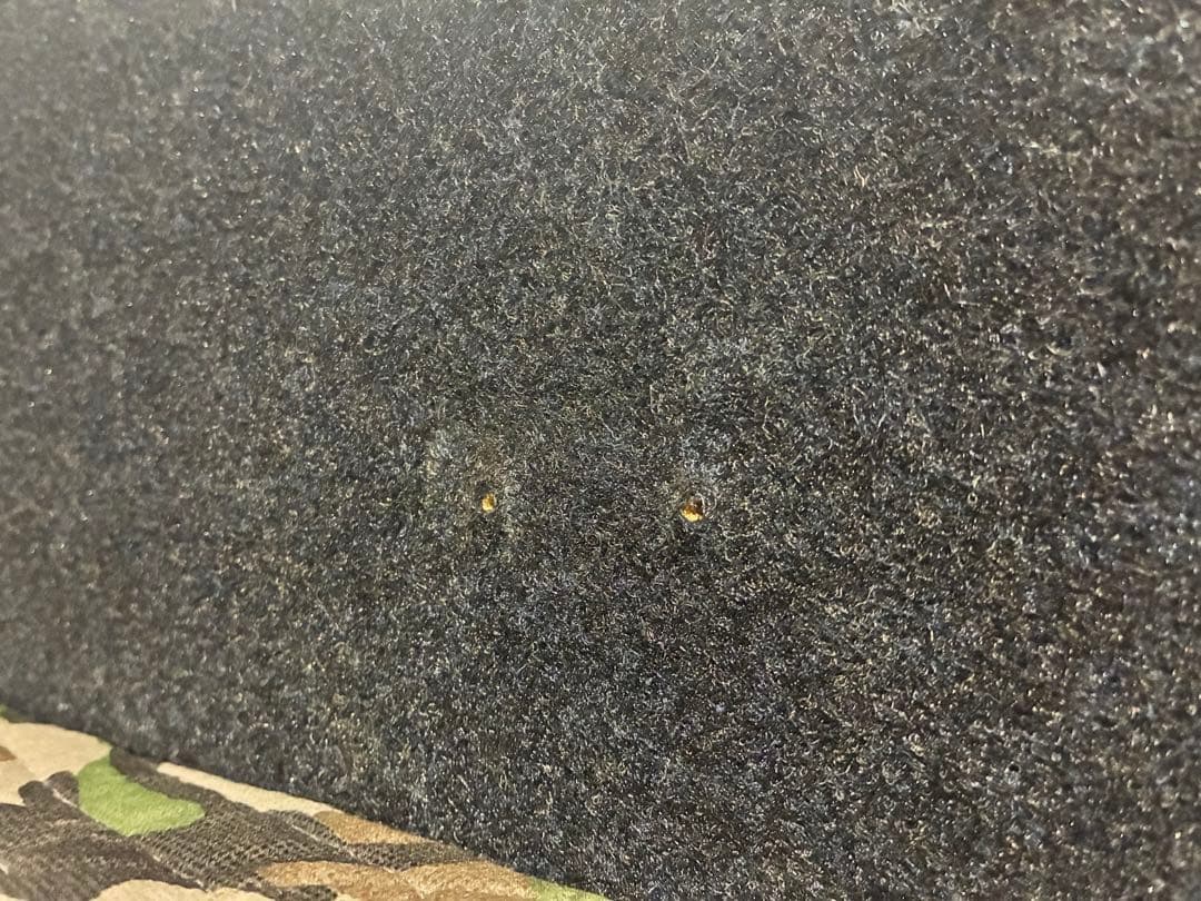 Pioneer TS-TRX800 スピーカー