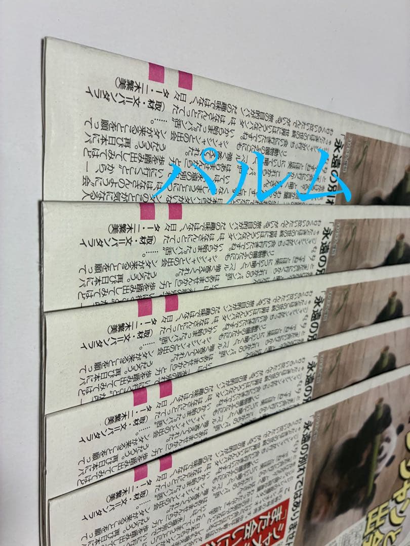 【折らずに梱包】日刊 パンダイ【5部】店頭Pop【1枚】ゲンダイ 新聞