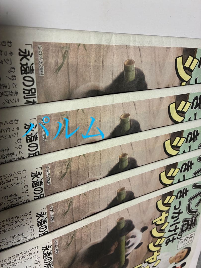 【折らずに梱包】日刊 パンダイ【5部】店頭Pop【1枚】ゲンダイ 新聞