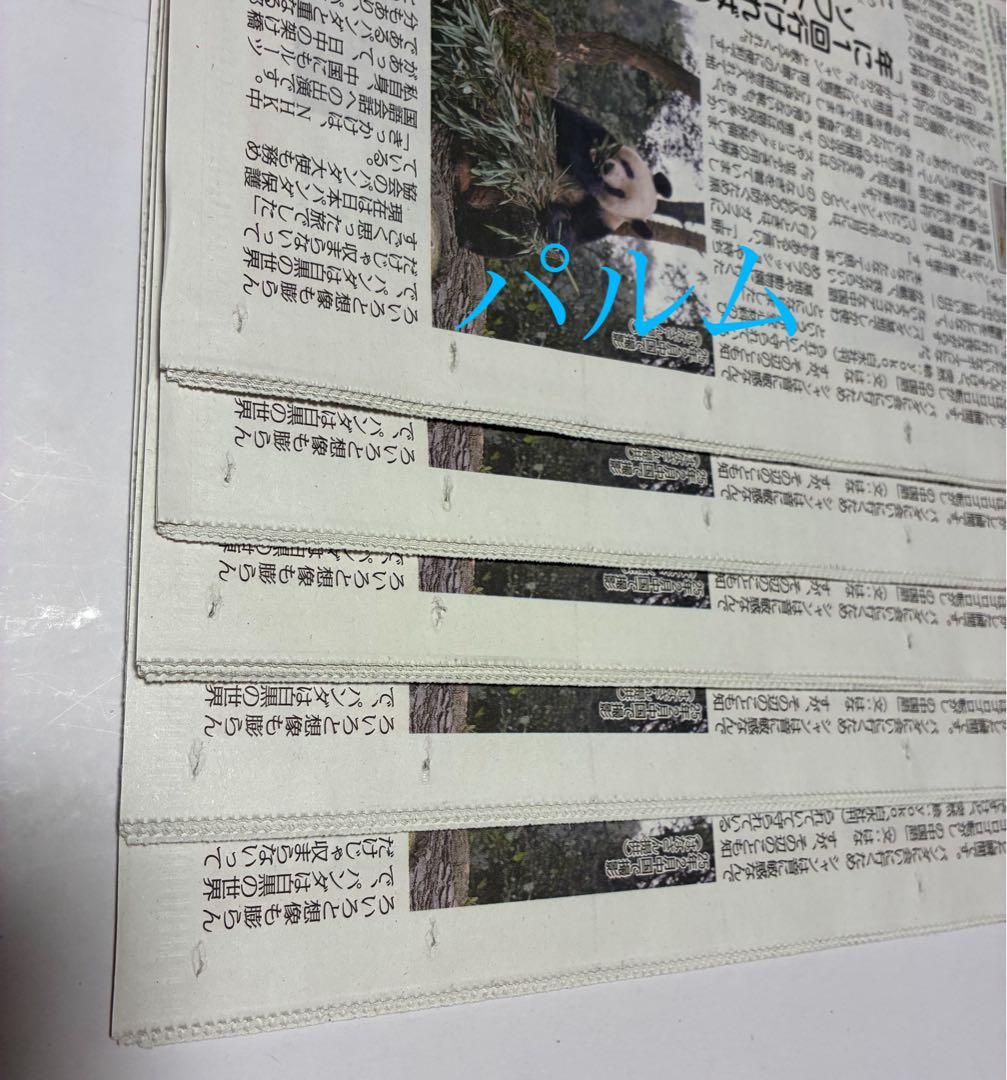 【折らずに梱包】日刊 パンダイ【5部】店頭Pop【1枚】ゲンダイ 新聞