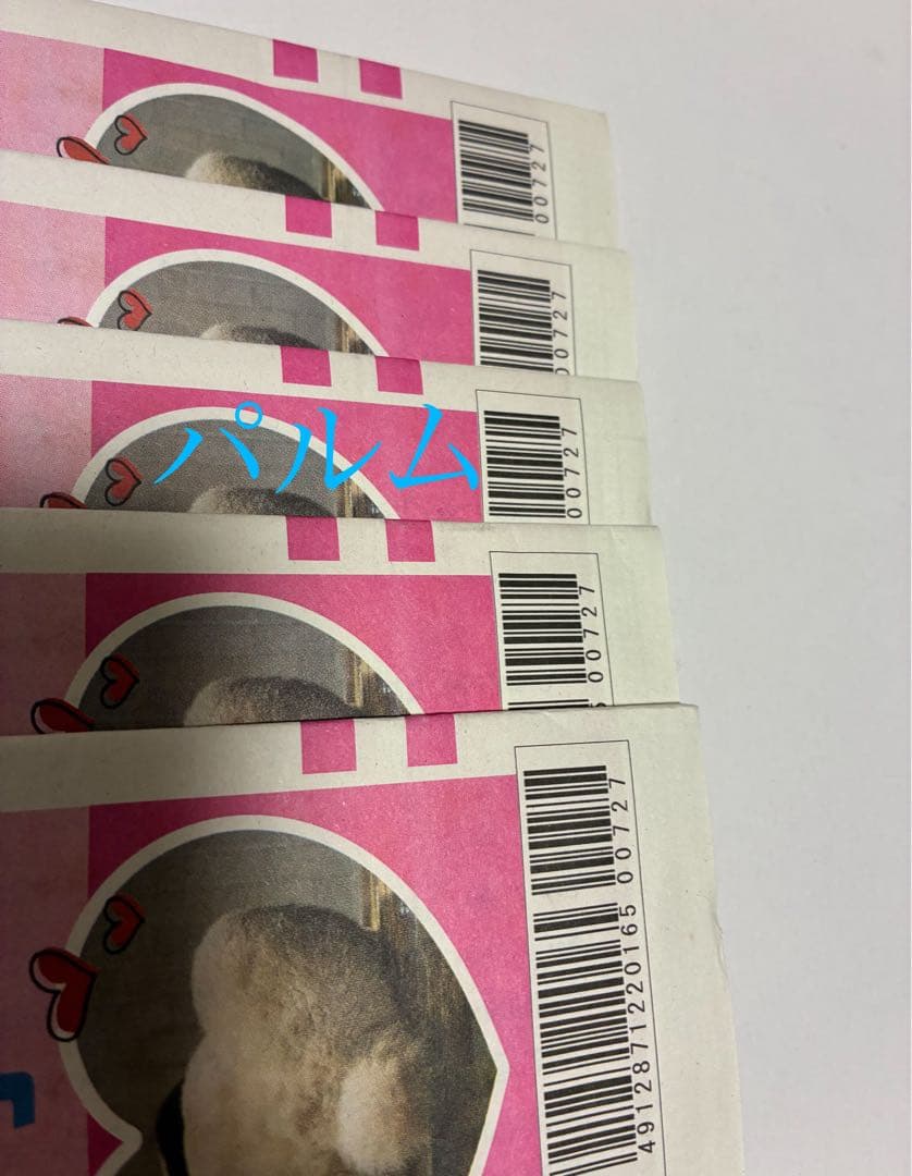 【折らずに梱包】日刊 パンダイ【5部】店頭Pop【1枚】ゲンダイ 新聞