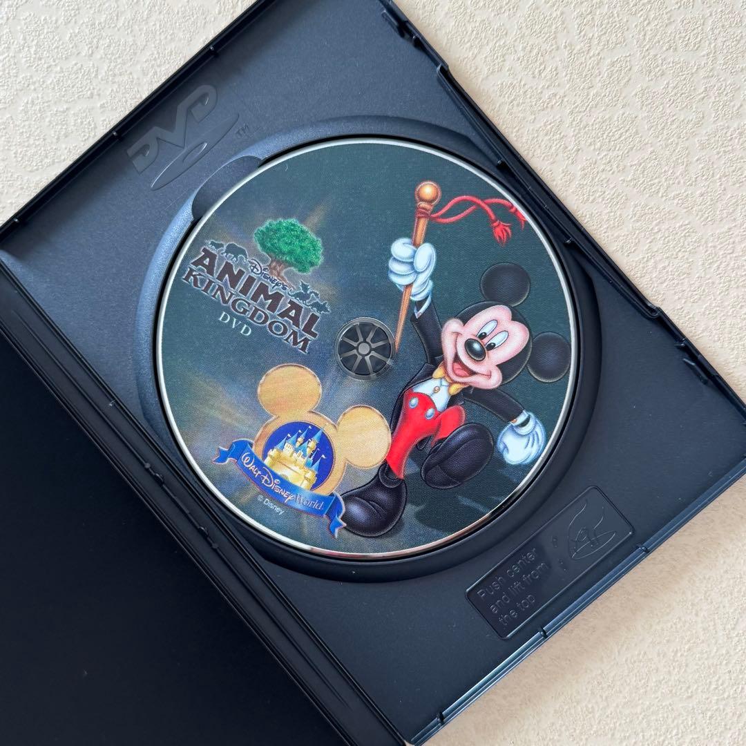 【海外限定・希少】ディズニー パーク＆リゾート DVD コレクション 5枚組