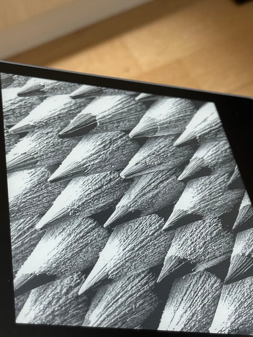 Amazom Kindle Oasis wifi+4G 32GB おまけ付き