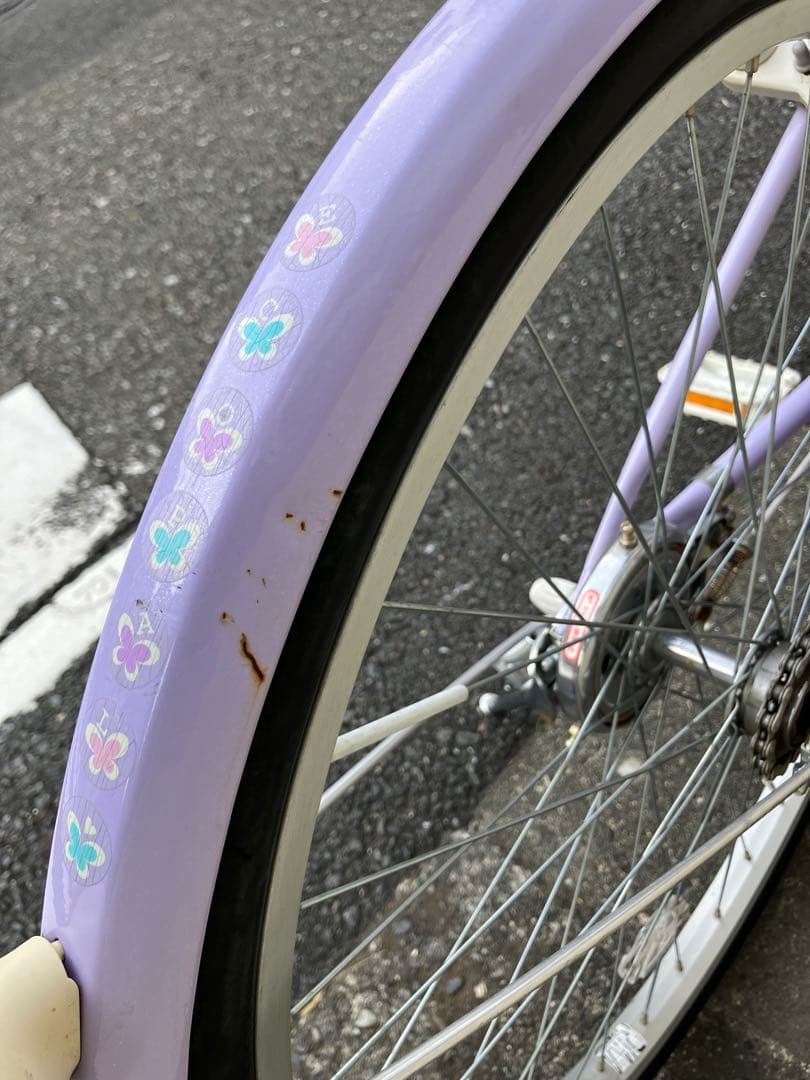 ブリジストン エコパル ラベンダー