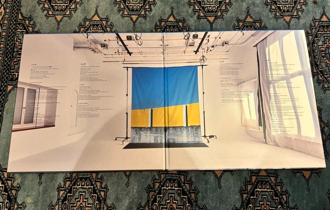 gotch lives by the sea レコード ゴッチ