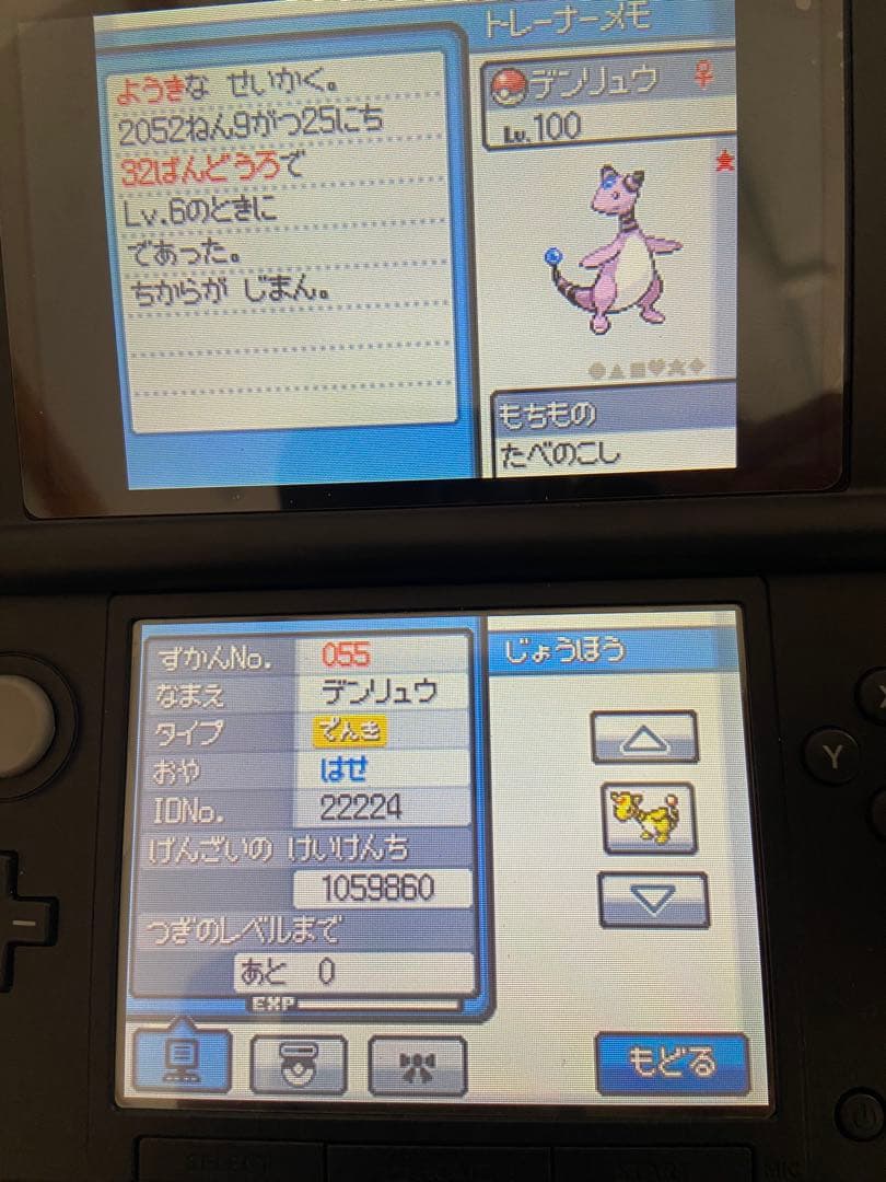 ポケットモンスター ハートゴールド　ソウルシルバー