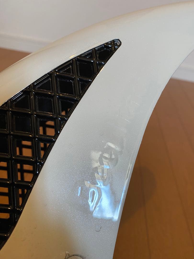 ビートフェンダー　メッシュフェンダー　beet cbx