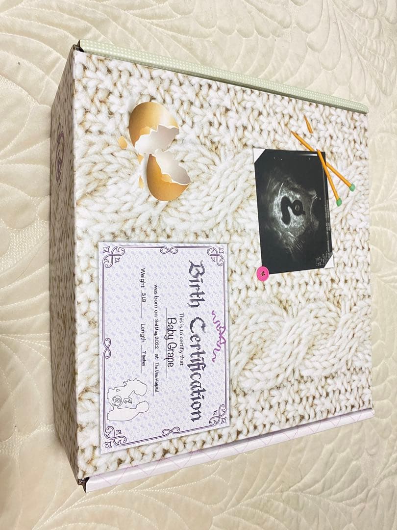 GRAPE Hotel Wings Platform Shoes ホワイトy2k