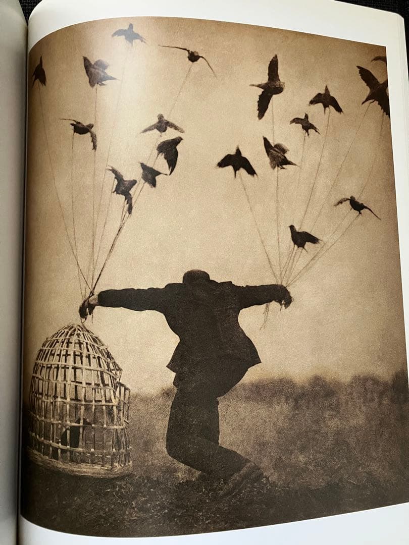 【超レア】The Architect's Brother