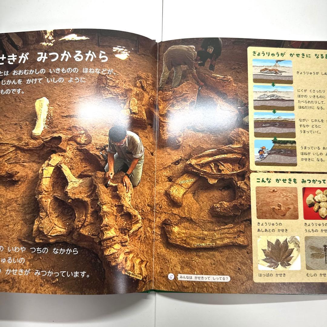 【2点購入150円引】おしりダンディ ザ・ヤング くもの おうこく