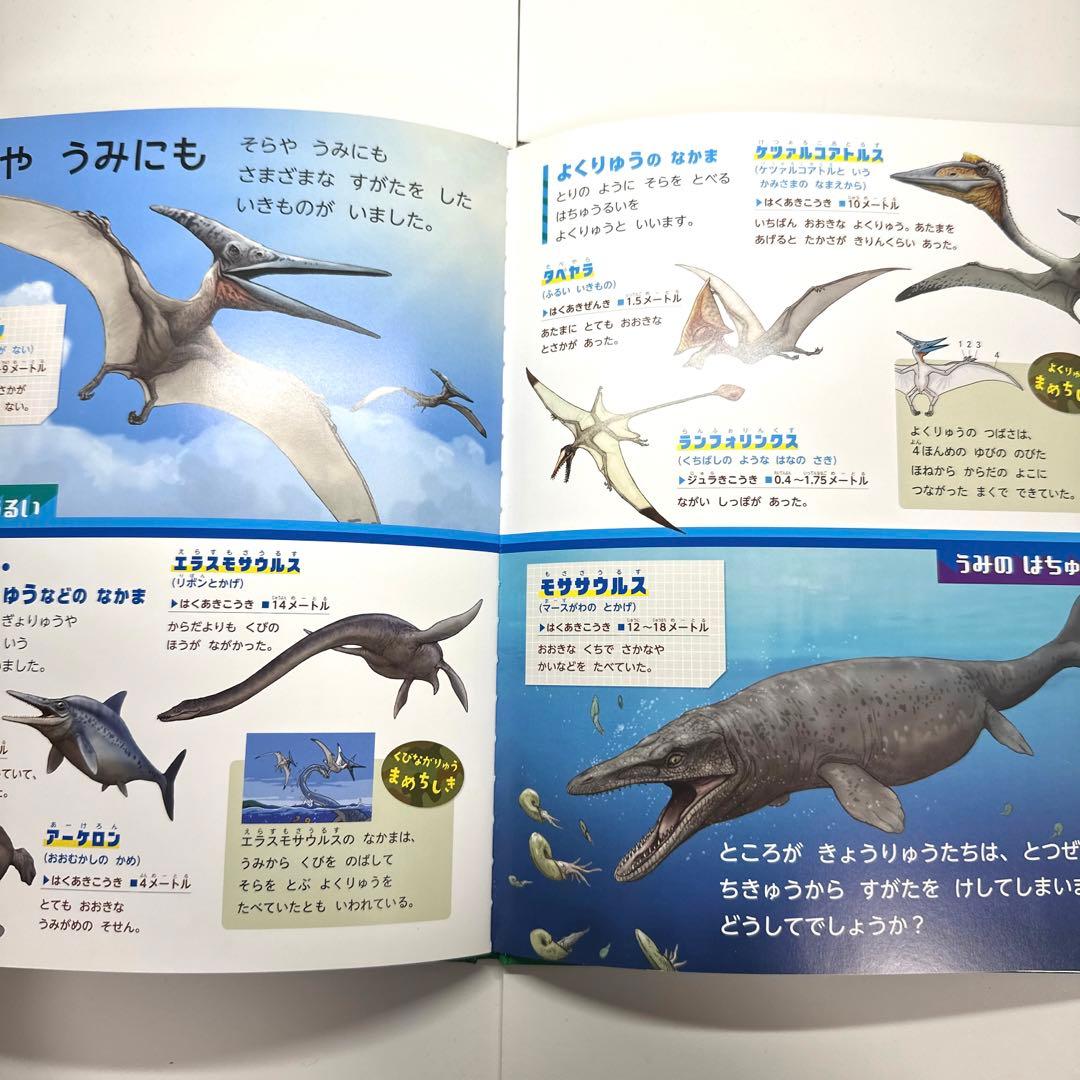 【2点購入150円引】おしりダンディ ザ・ヤング くもの おうこく