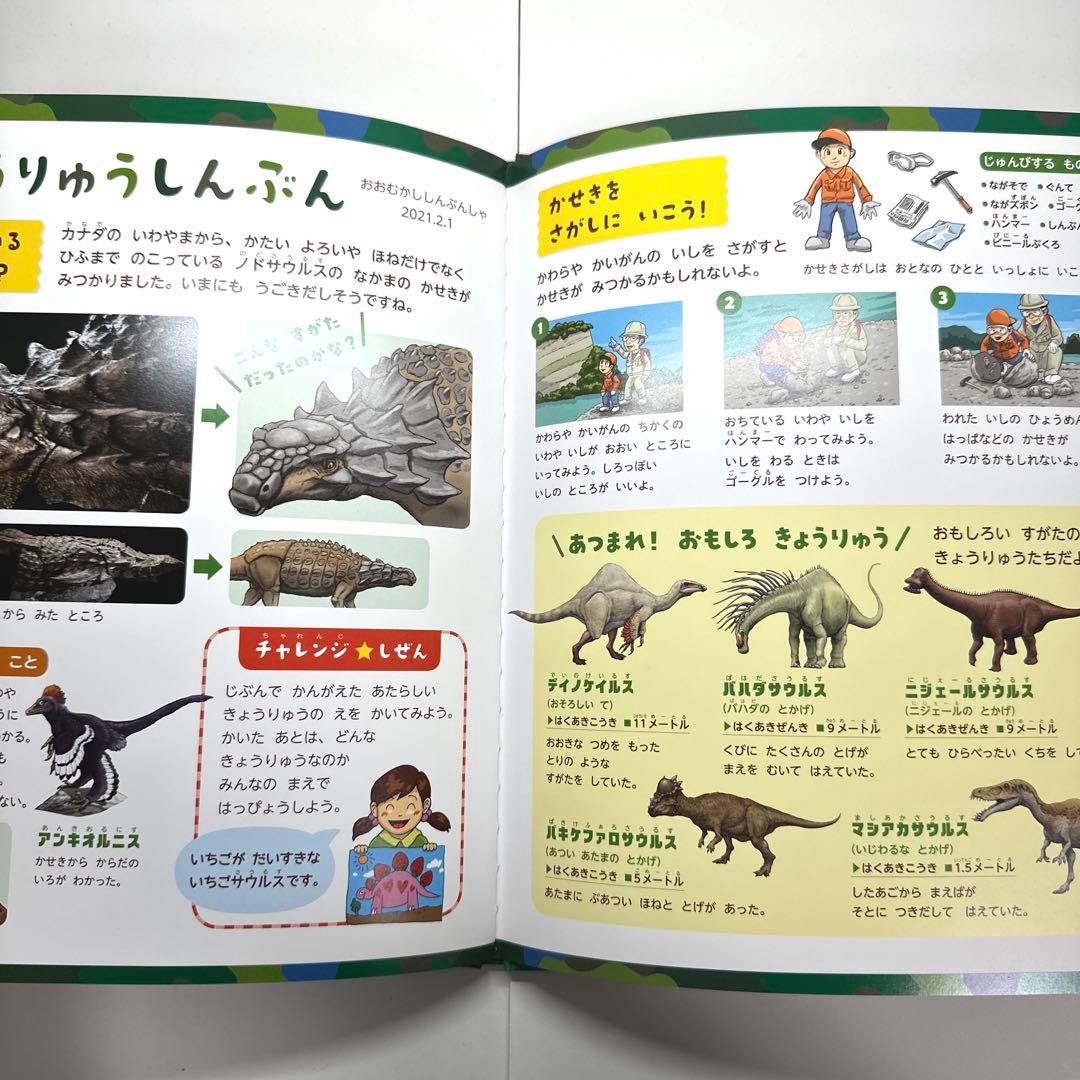 【2点購入150円引】おしりダンディ ザ・ヤング くもの おうこく