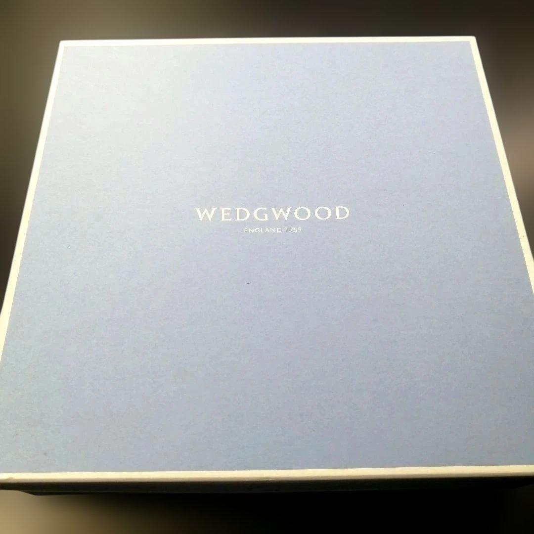 【正規品2枚】  ワイルドストロベリー アーカイブ パスタボウル