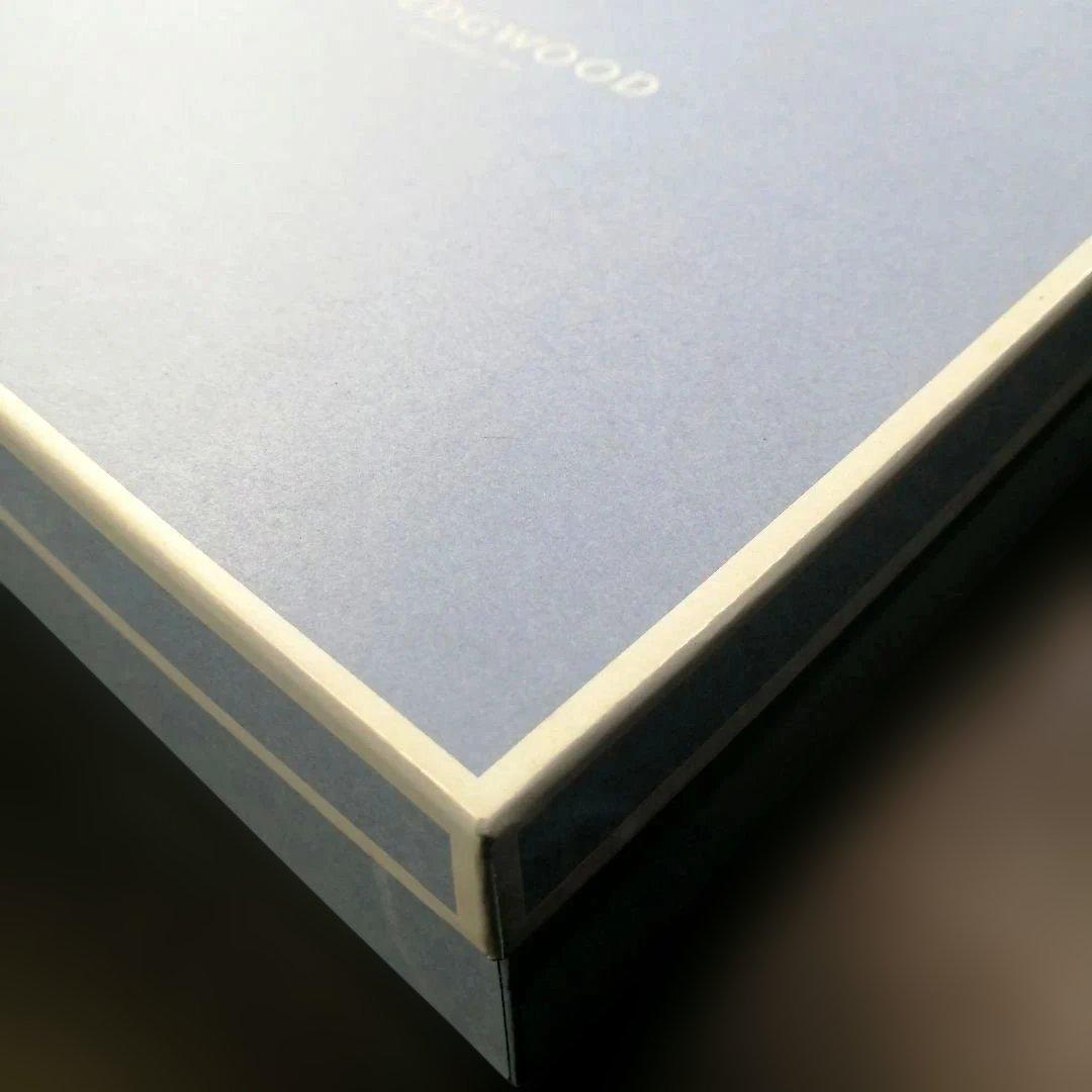 【正規品2枚】  ワイルドストロベリー アーカイブ パスタボウル