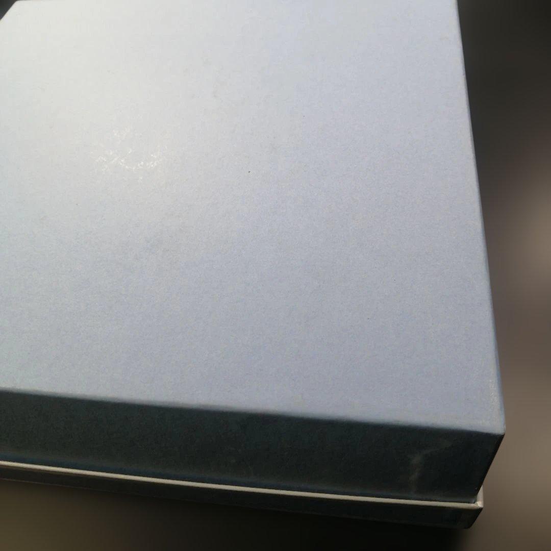 【正規品2枚】  ワイルドストロベリー アーカイブ パスタボウル