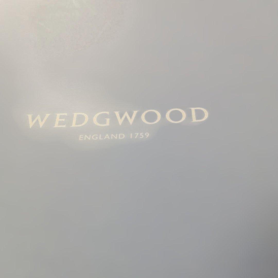 【正規品2枚】  ワイルドストロベリー アーカイブ パスタボウル