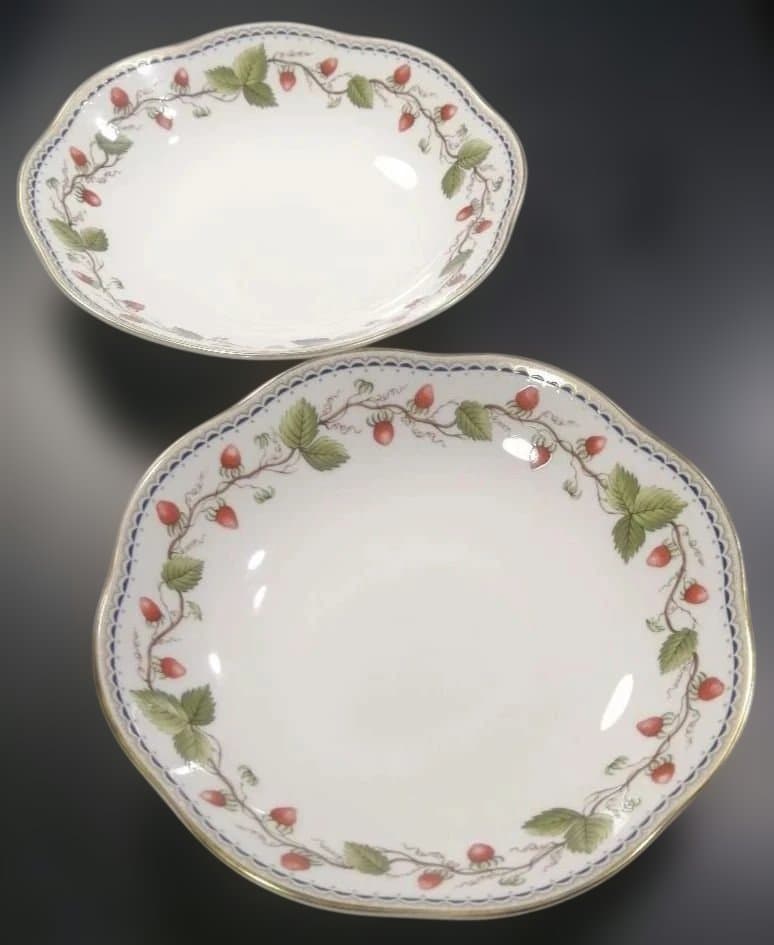 【正規品2枚】  ワイルドストロベリー アーカイブ パスタボウル