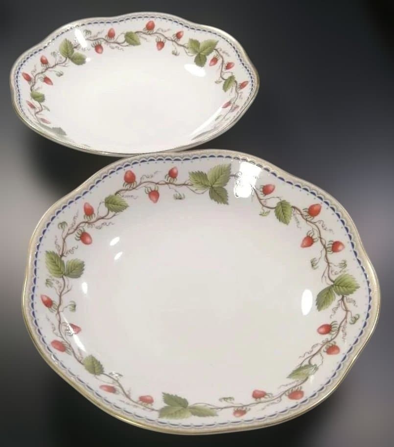 【正規品2枚】  ワイルドストロベリー アーカイブ パスタボウル