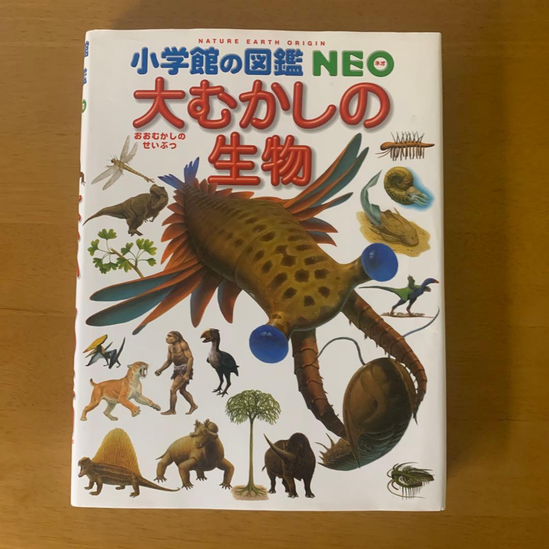 小学館の図鑑NEO 12冊　セット
