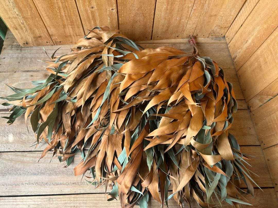 ✨人気花材❗️【204】50本 グレビリアゴールド　ドライ　スワッグ リース