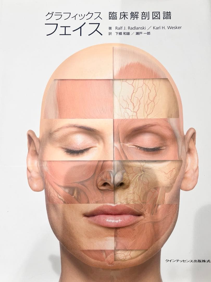 グラフィックスフェイス　解剖図譜